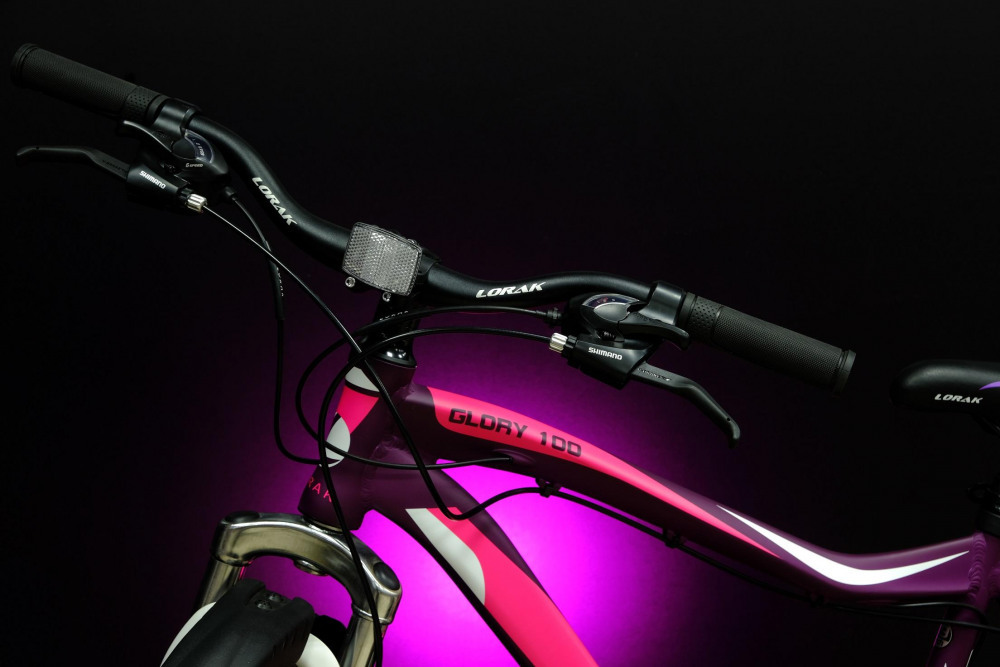 Lorak Glory 100 Матовый Фиолетовый/Розовый рама 19 (на рост 171-182)